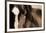 Dark Eyes-Lisa Dearing-Framed Photographic Print