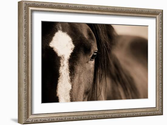 Dark Eyes-Lisa Dearing-Framed Photographic Print