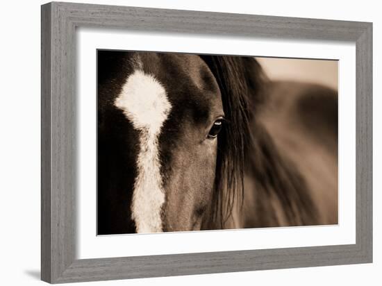 Dark Eyes-Lisa Dearing-Framed Photographic Print