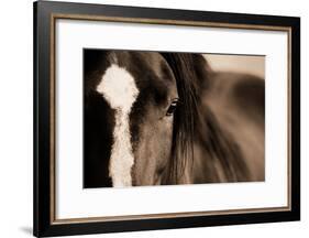 Dark Eyes-Lisa Dearing-Framed Photographic Print