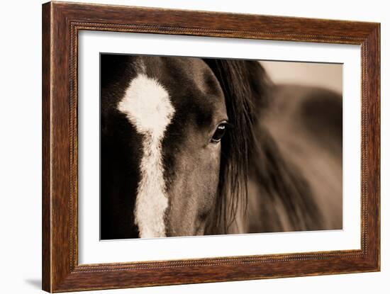 Dark Eyes-Lisa Dearing-Framed Photographic Print