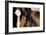 Dark Eyes-Lisa Dearing-Framed Photographic Print