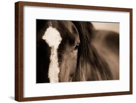 Dark Eyes-Lisa Dearing-Framed Photographic Print