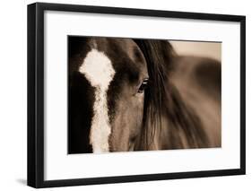 Dark Eyes-Lisa Dearing-Framed Photographic Print