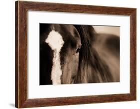 Dark Eyes-Lisa Dearing-Framed Photographic Print