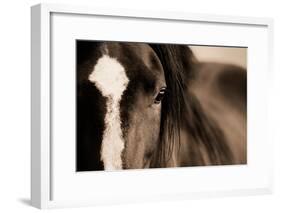 Dark Eyes-Lisa Dearing-Framed Photographic Print