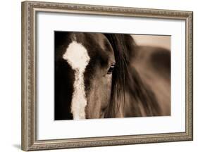 Dark Eyes-Lisa Dearing-Framed Photographic Print