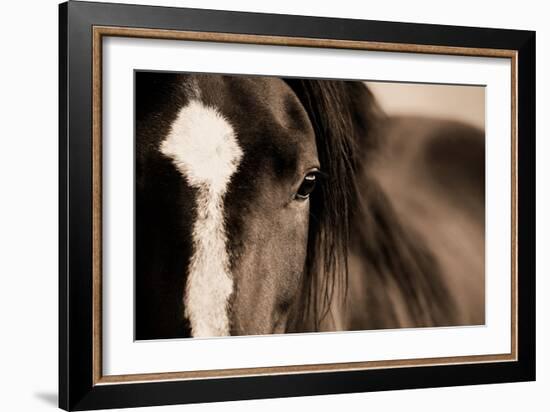 Dark Eyes-Lisa Dearing-Framed Photographic Print