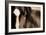 Dark Eyes-Lisa Dearing-Framed Photographic Print