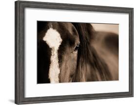 Dark Eyes-Lisa Dearing-Framed Photographic Print