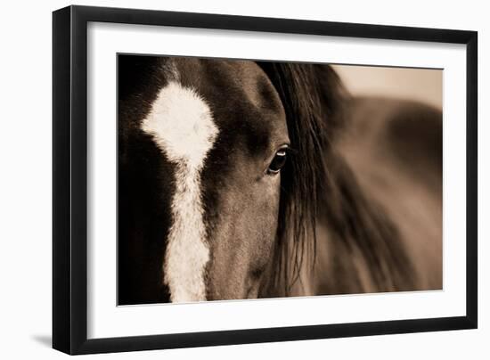 Dark Eyes-Lisa Dearing-Framed Photographic Print