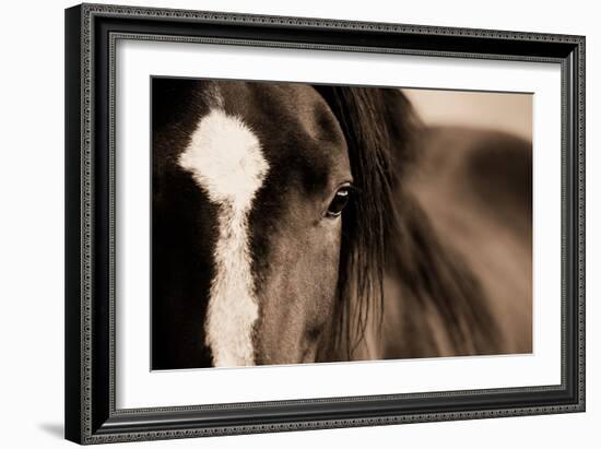 Dark Eyes-Lisa Dearing-Framed Photographic Print