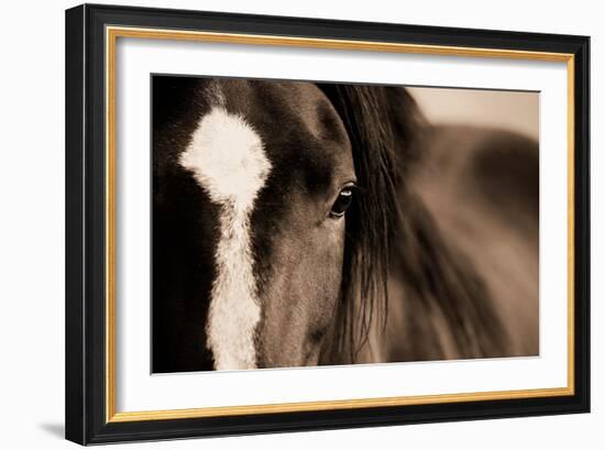 Dark Eyes-Lisa Dearing-Framed Photographic Print