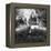 Dark Fantasy II-Alex Cherry-Framed Stretched Canvas