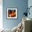 Dark Fish-Ursula Abresch-Framed Photographic Print displayed on a wall