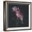 Dark Florals-Sarah Gardner-Framed Photo