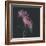 Dark Florals-Sarah Gardner-Framed Photo