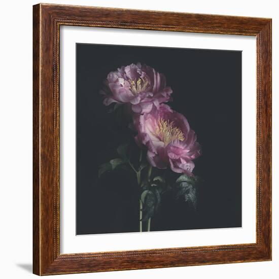 Dark Florals-Sarah Gardner-Framed Photo