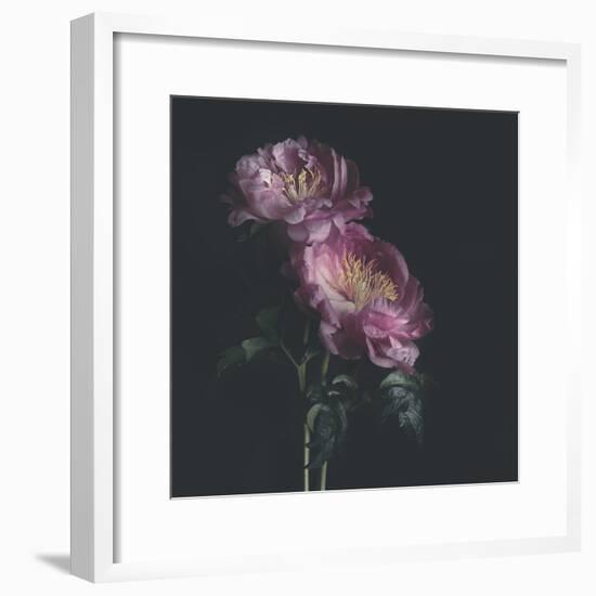 Dark Florals-Sarah Gardner-Framed Photo