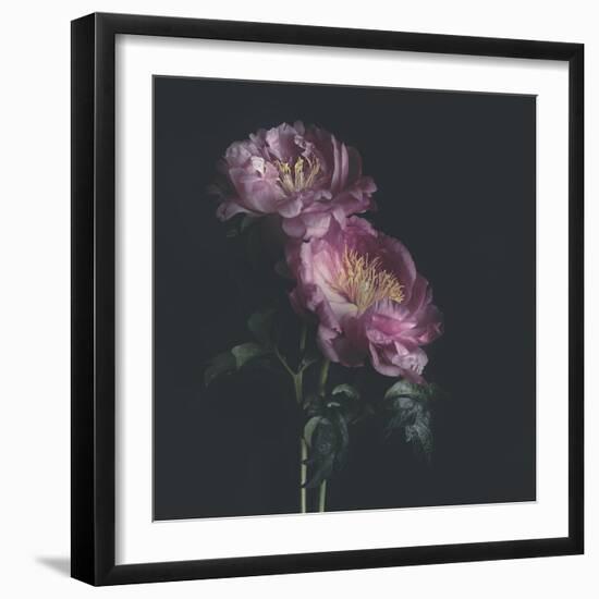 Dark Florals-Sarah Gardner-Framed Photo