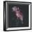 Dark Florals-Sarah Gardner-Framed Photo