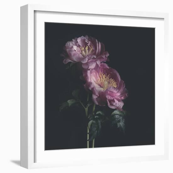 Dark Florals-Sarah Gardner-Framed Photo