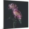 Dark Florals-Sarah Gardner-Mounted Photo