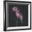 Dark Florals-Sarah Gardner-Framed Photo