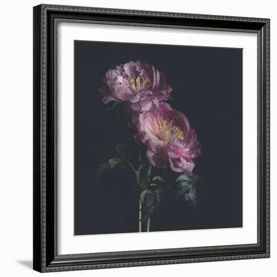 Dark Florals-Sarah Gardner-Framed Photo