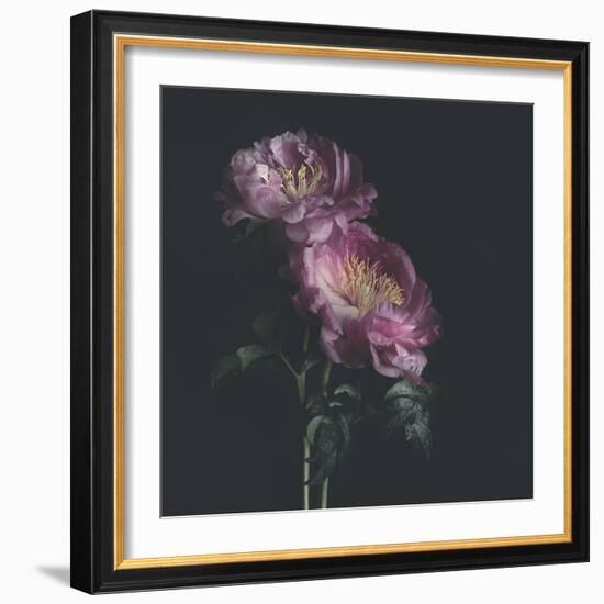 Dark Florals-Sarah Gardner-Framed Photo