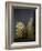 Dark Gold-Jeroen Van-Framed Photographic Print