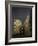 Dark Gold-Jeroen Van-Framed Photographic Print