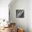 Dark Grey Splash-Albena Hristova-Framed Stretched Canvas displayed on a wall