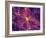 Dark Matter Distribution-Volker Springel-Framed Photographic Print