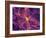 Dark Matter Distribution-Volker Springel-Framed Photographic Print