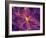 Dark Matter Distribution-Volker Springel-Framed Photographic Print