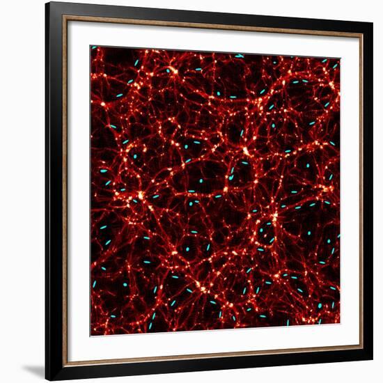 Dark Matter Map-Yannick Mellier-Framed Photographic Print