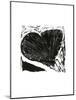 Dark Moth, 2013-Bella Larsson-Mounted Giclee Print