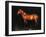 Dark Night-Sydney Edmunds-Framed Giclee Print