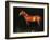 Dark Night-Sydney Edmunds-Framed Giclee Print