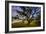 Dark Oak, Petaluma Hills, Northern California, Bay Area Trees-Vincent James-Framed Photographic Print