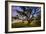 Dark Oak, Petaluma Hills, Northern California, Bay Area Trees-Vincent James-Framed Photographic Print