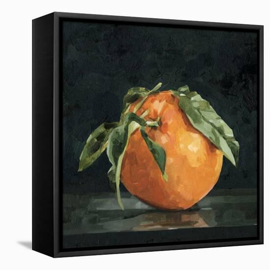 Dark Orange Still Life II-Emma Caroline-Framed Stretched Canvas