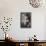 Dark Orchid I-Elizabeth Urquhart-Framed Stretched Canvas displayed on a wall