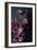 Dark Orchid IV-Elizabeth Urquhart-Framed Photo