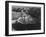 Dark Shadows In Fgnd & Right Framing Cliffs At Left & Center "Grand Canyon NP" Arizona 1933-1942-Ansel Adams-Framed Art Print