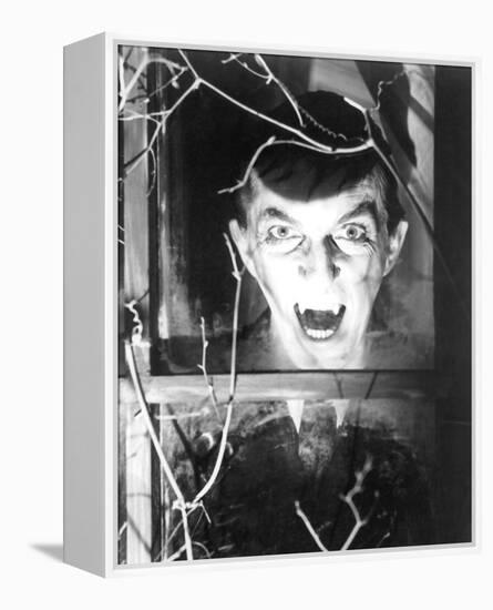 Dark Shadows-null-Framed Stretched Canvas