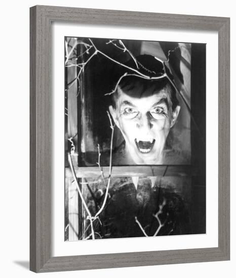 Dark Shadows-null-Framed Photo