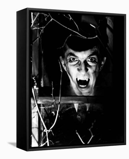 Dark Shadows-null-Framed Stretched Canvas