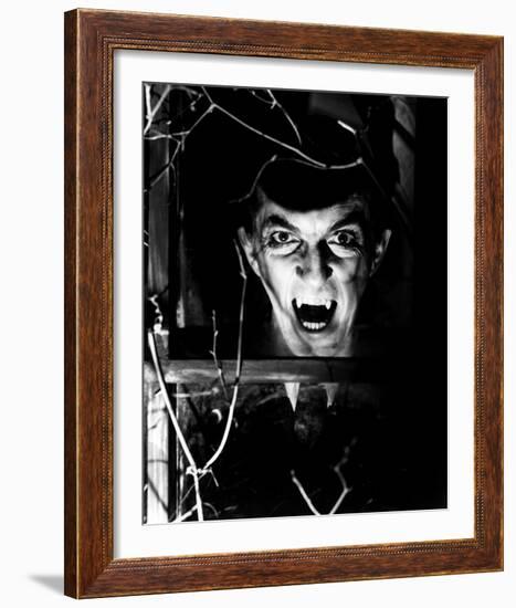 Dark Shadows-null-Framed Photo